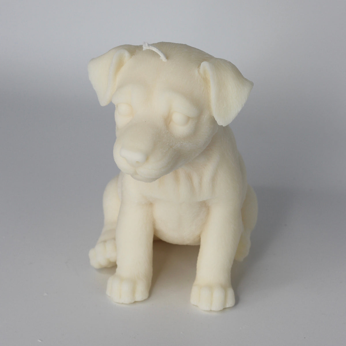 Kerze Hund ; „Doggy“
