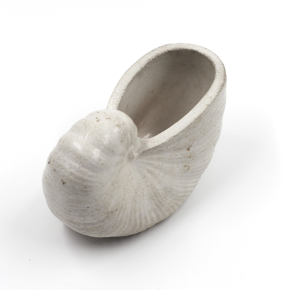 Betonmuschel „Schnecken Muschel“ klein