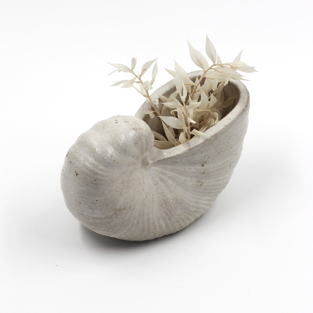 Betonmuschel „Schnecken Muschel“ klein