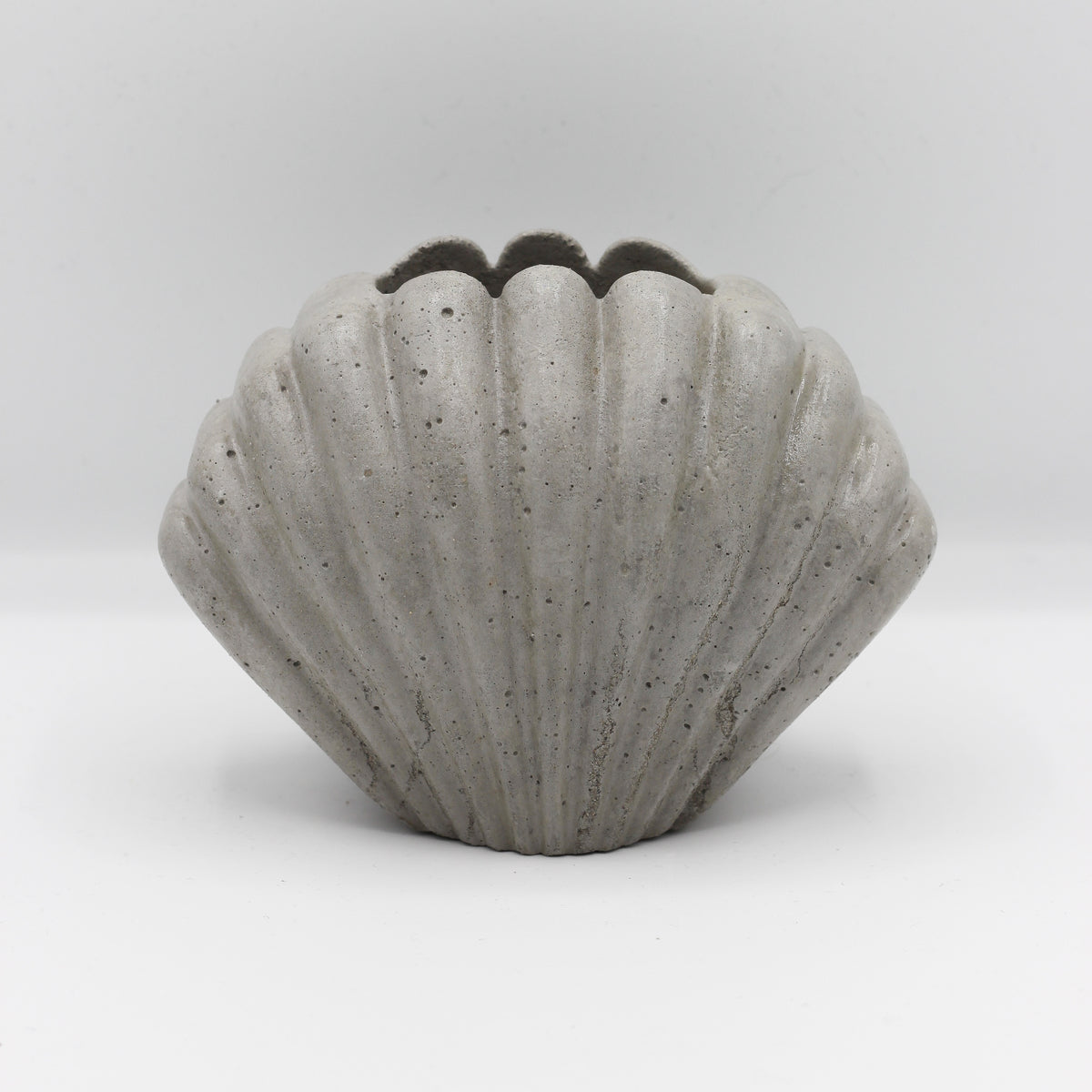 Betonvase; Vase ; Trockenblumenvase „Muschel“