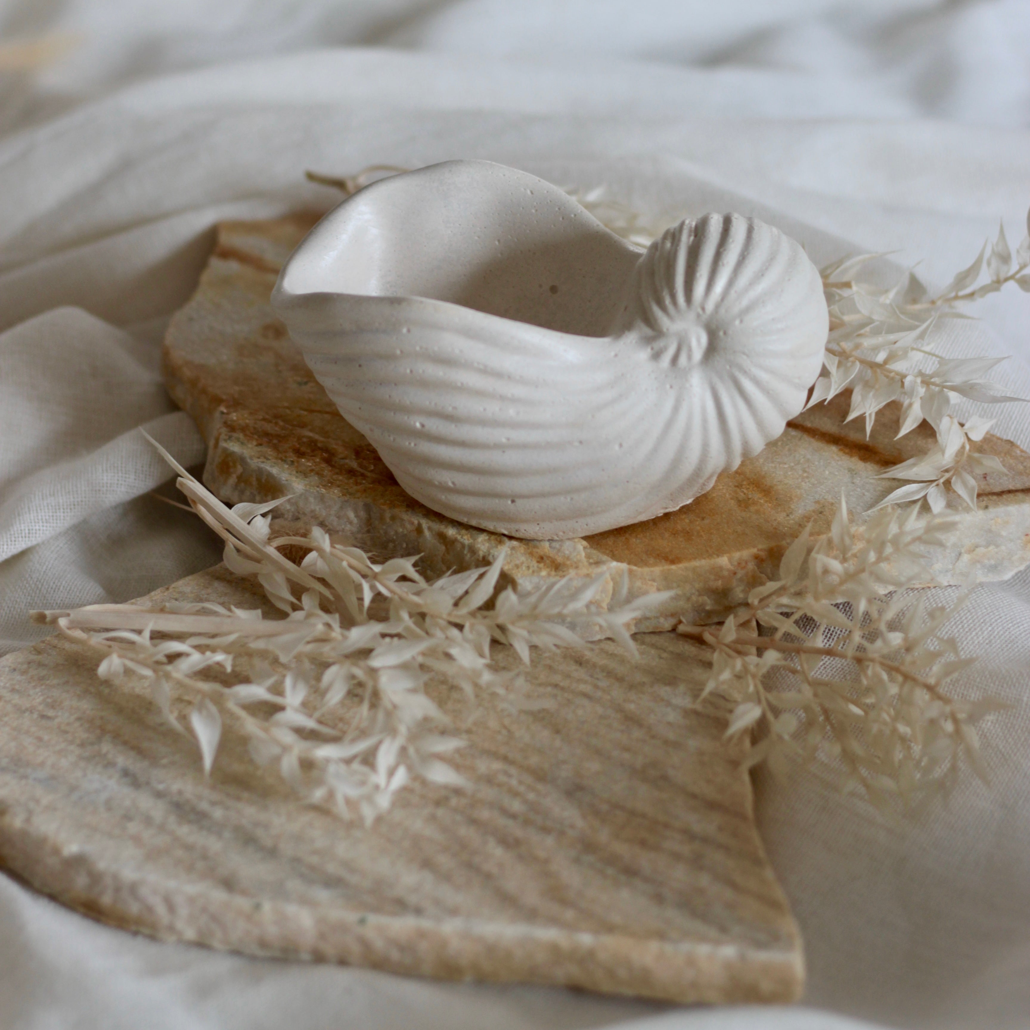 Betonmuschel „Schnecken Muschel“ groß