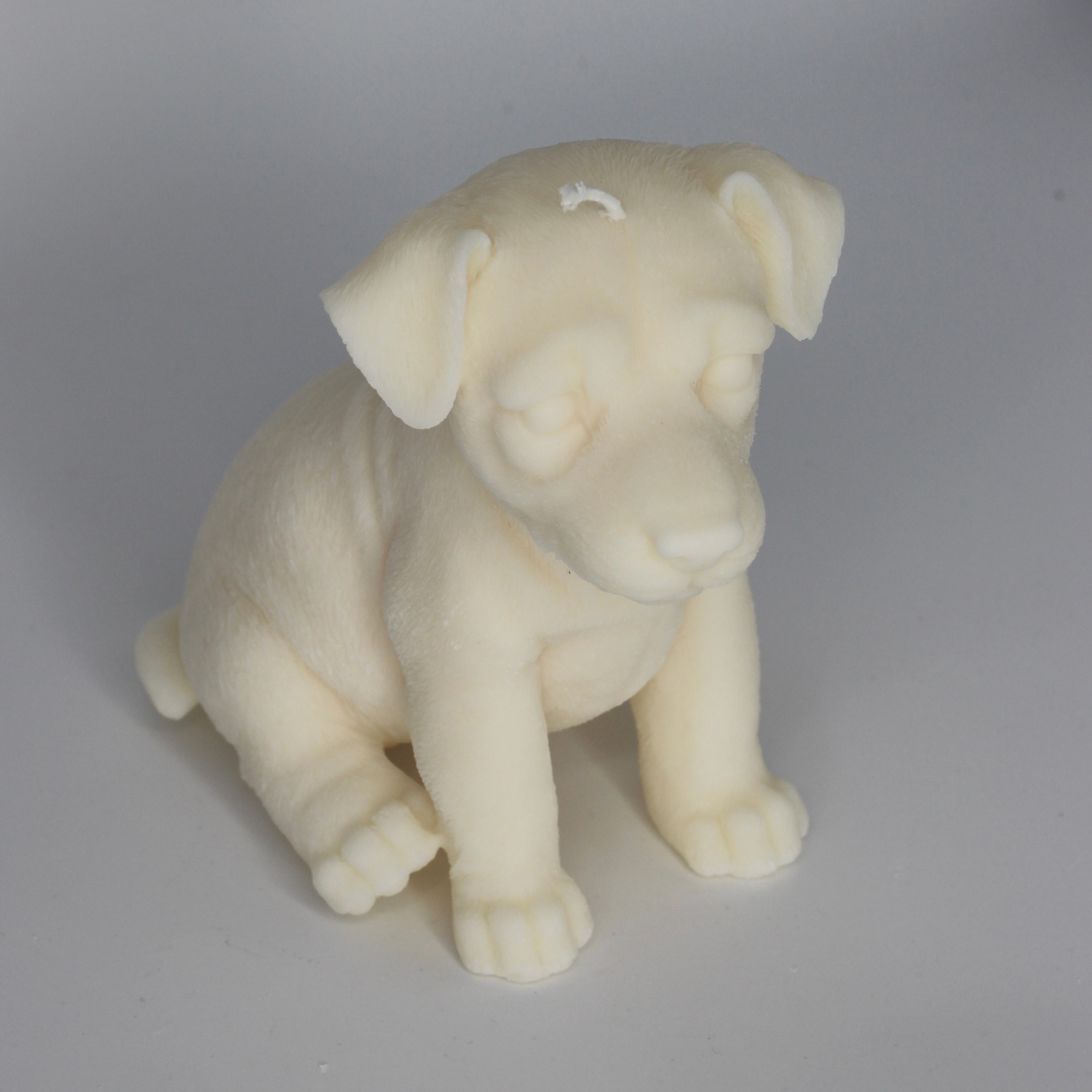Kerze Hund ; „Doggy“