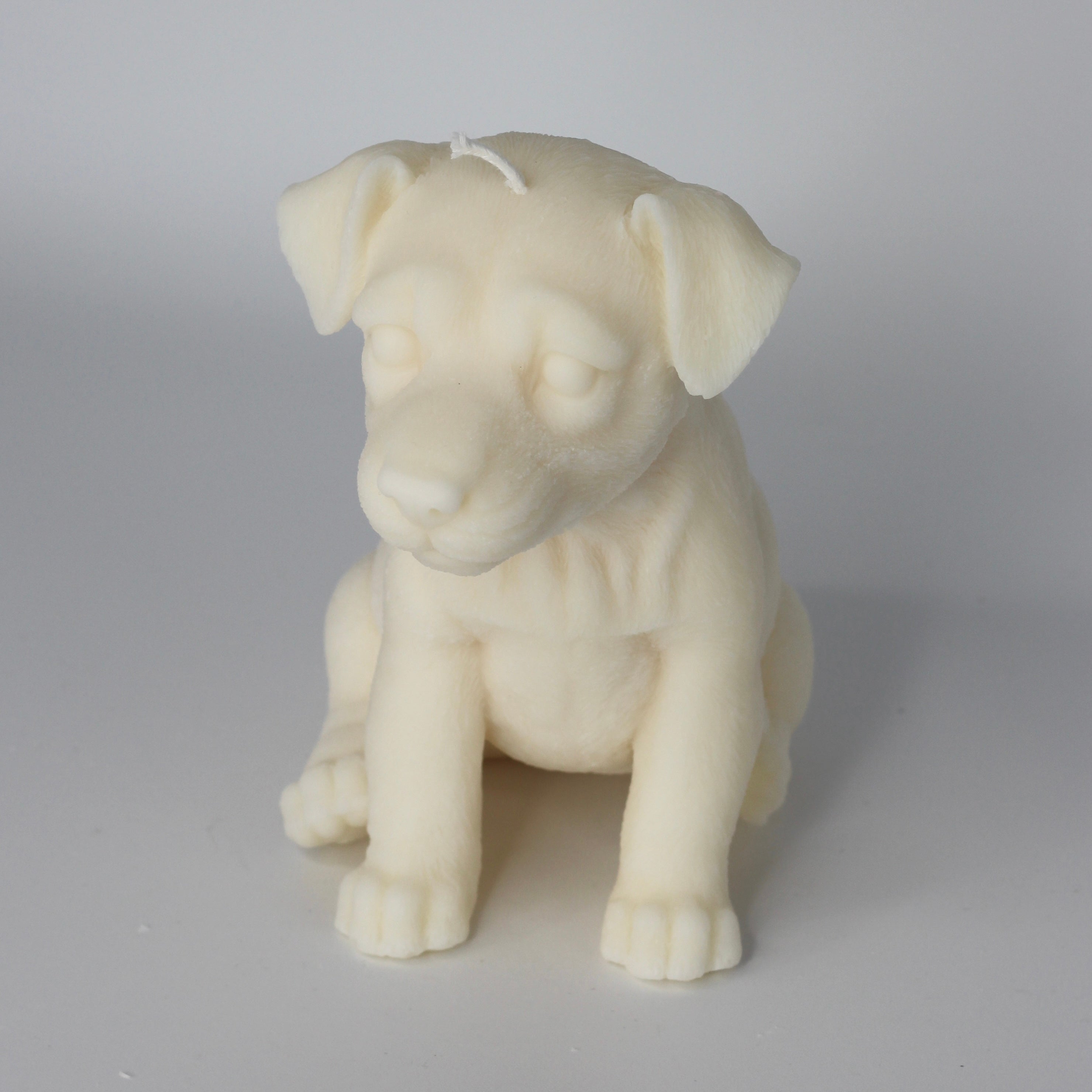 Kerze Hund ; „Doggy“