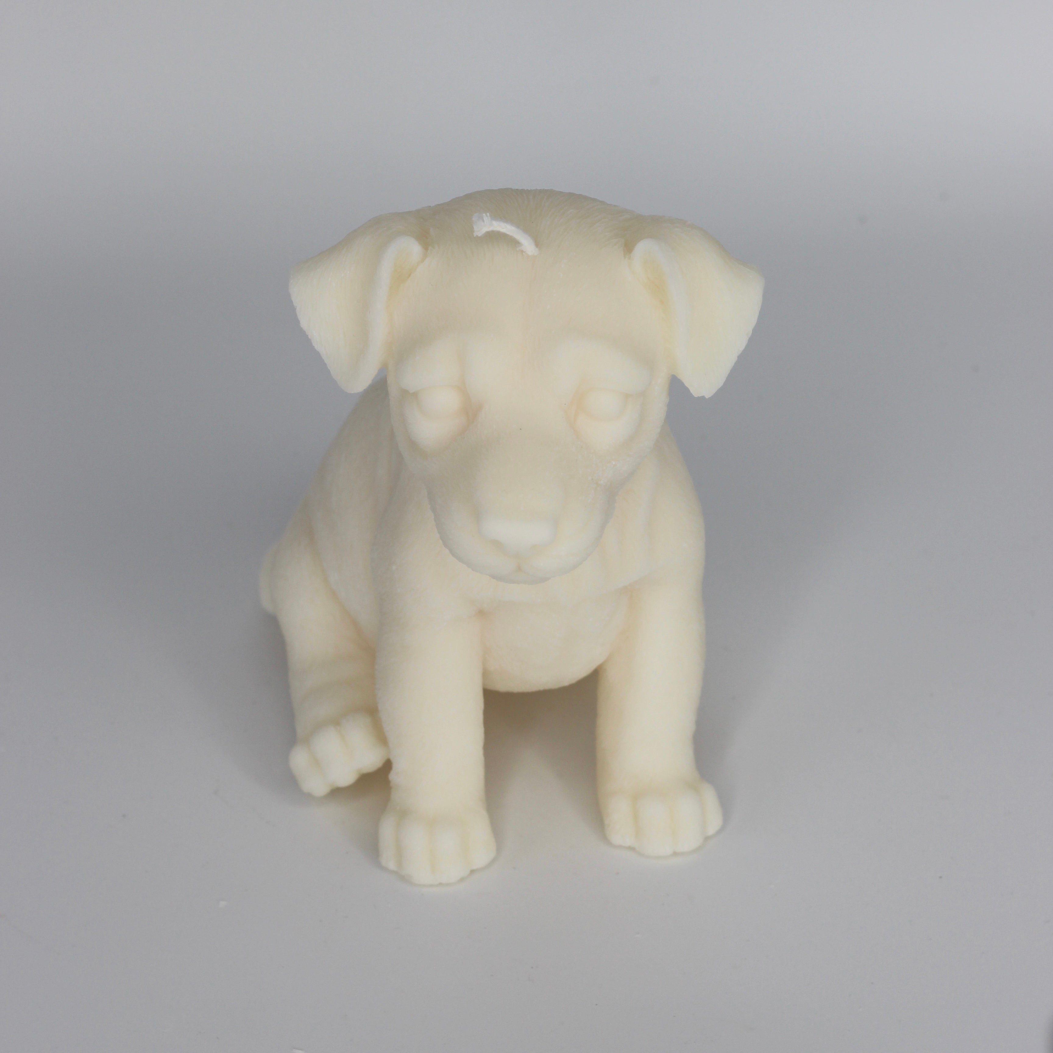 Kerze Hund ; „Doggy“