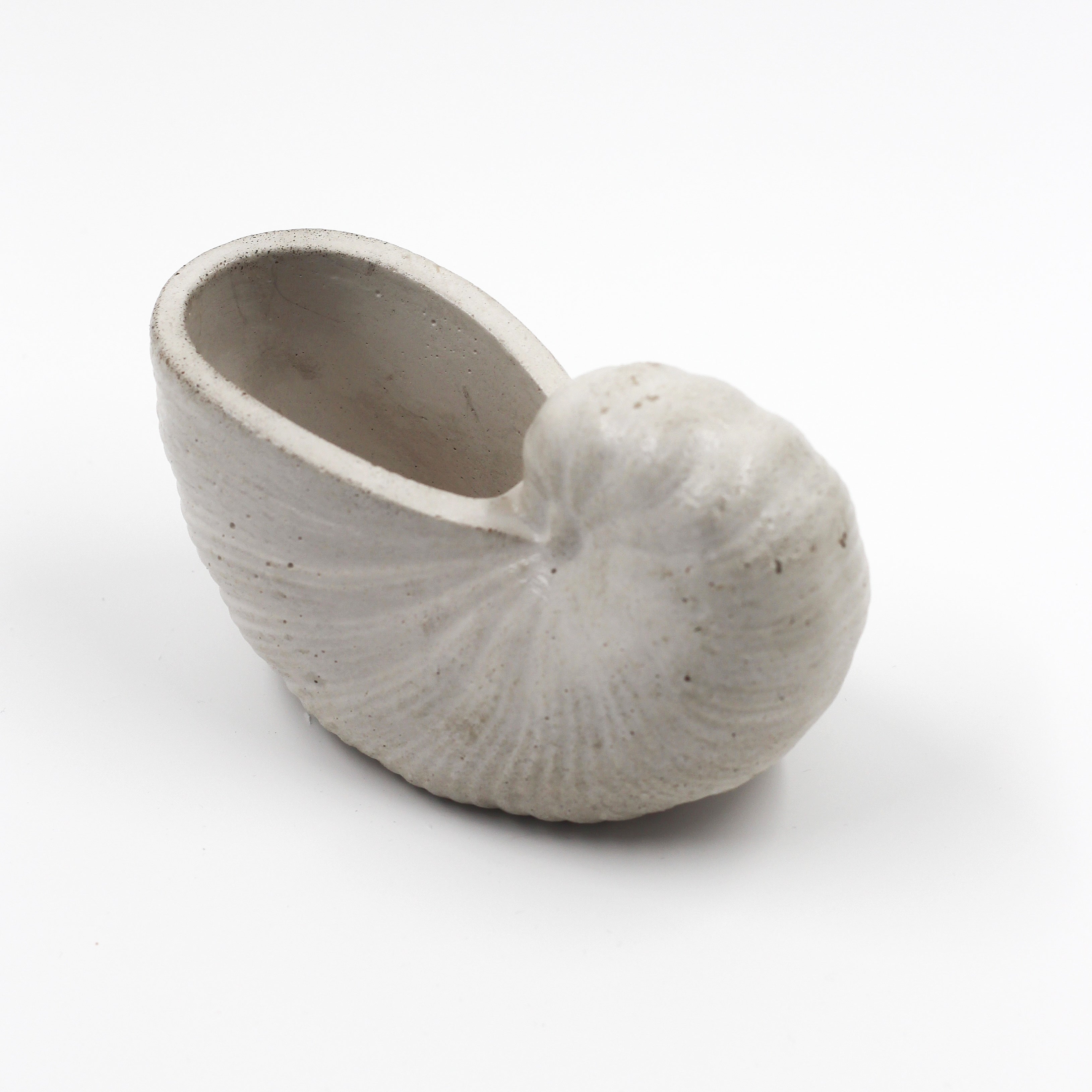 Betonmuschel „Schnecken Muschel“ klein