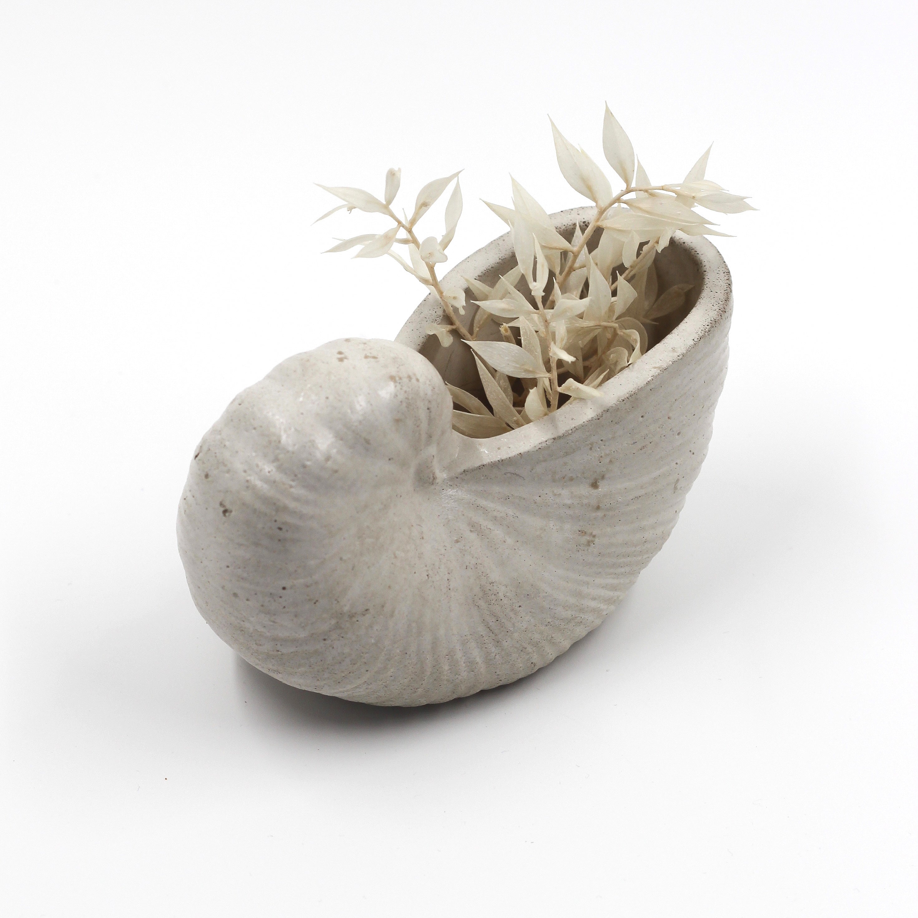 Betonmuschel „Schnecken Muschel“ klein