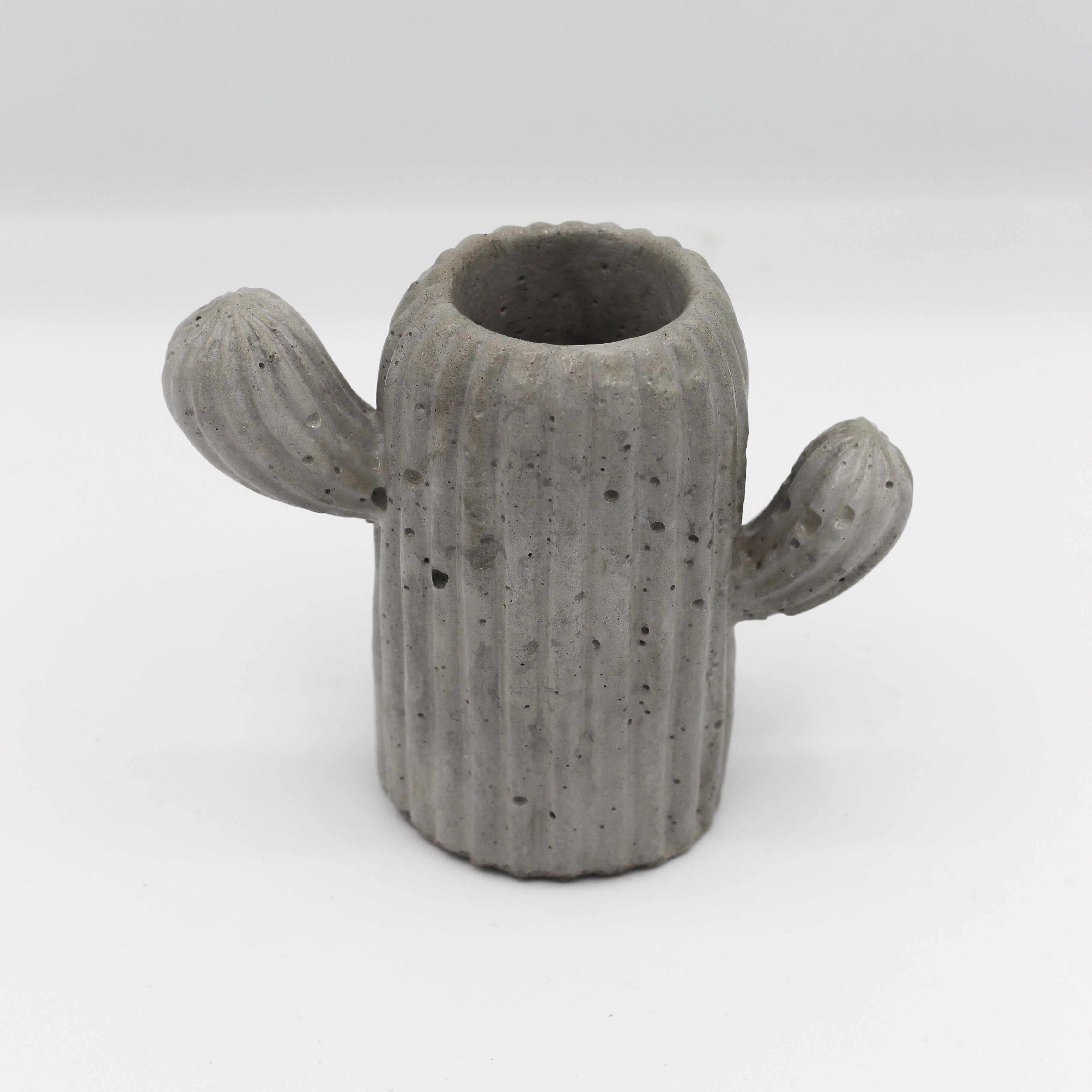 Betonvase; Vase  ; Trockenblumenvase „Kaktus“